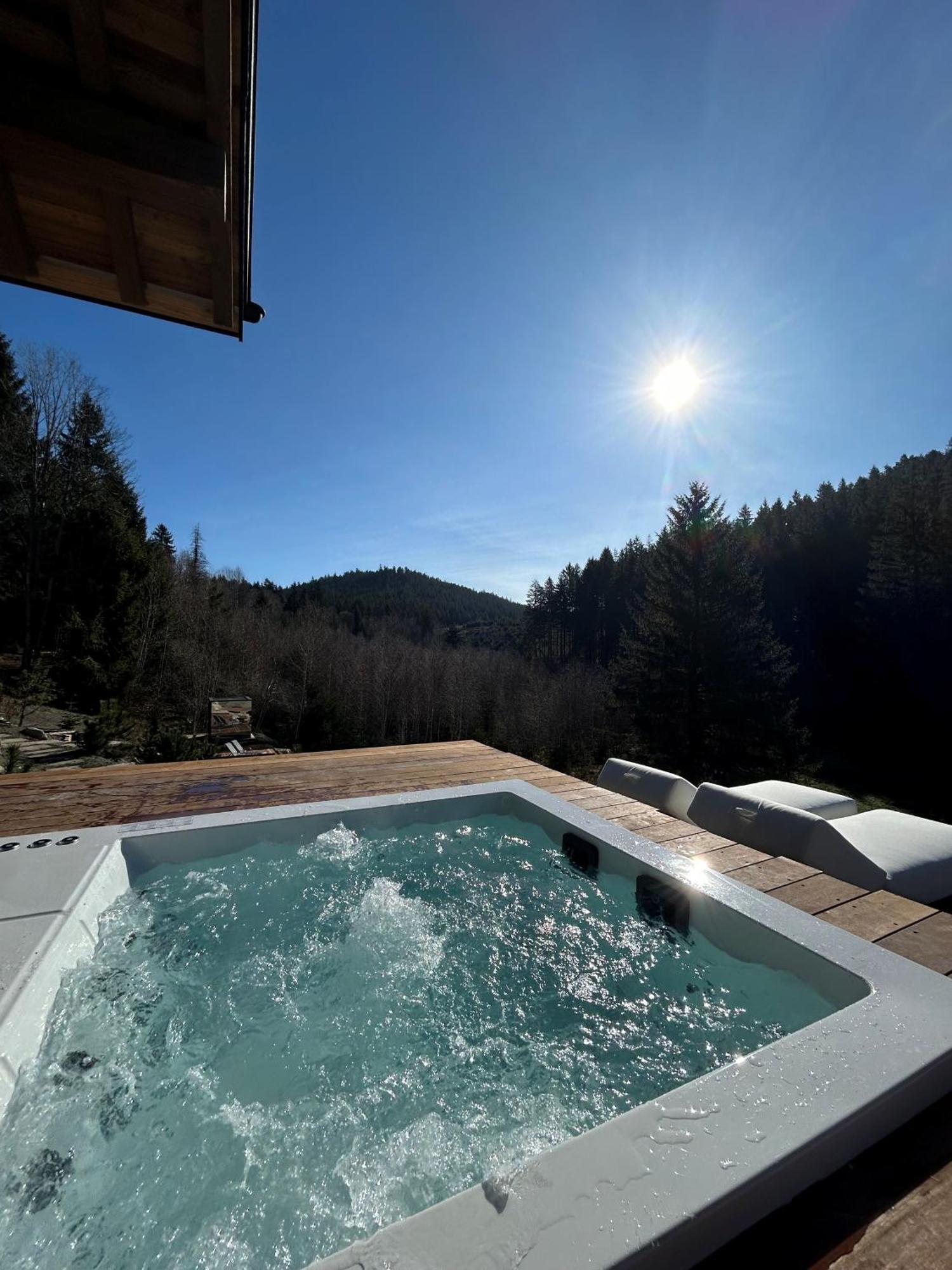 Domaine Les Terres Bleues Xonrupt-Longemer Exterior foto